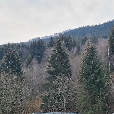 Czarna Gora B39 Lejlighed *