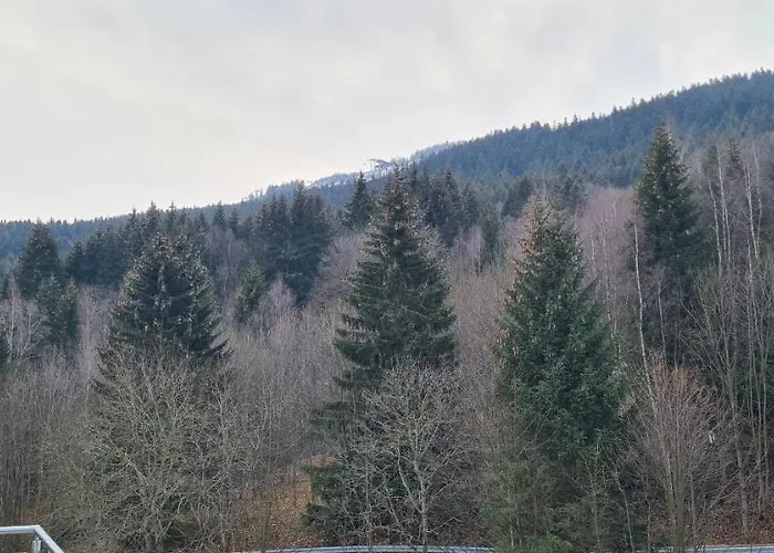 Czarna Gora B39 Apartmán *