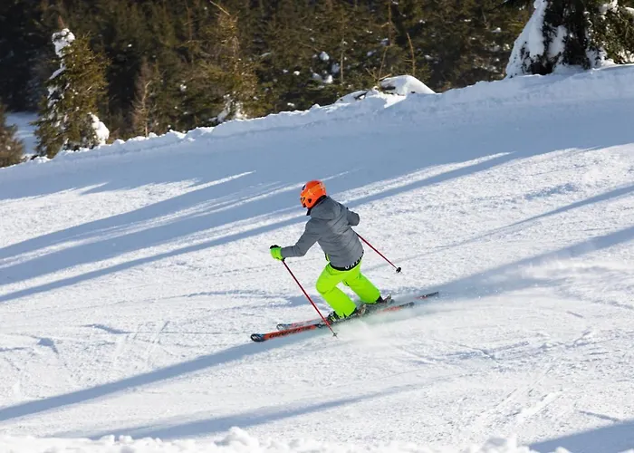 Lejlighed Czarna Gora B39